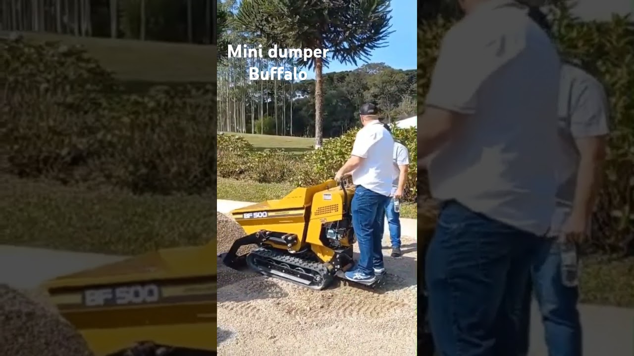 Mini dumper buffalo BF500 