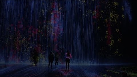 Immersive digital art exhibition opens in Paris