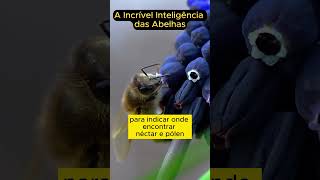 A Incrível Inteligência das Abelhas  #Natureza #Insetos #Curiosidades #shorts