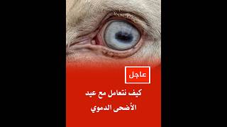 كيف أتعايش مع الذ بح و تعذيب الحيوانات في عيد الأضحى الدموي