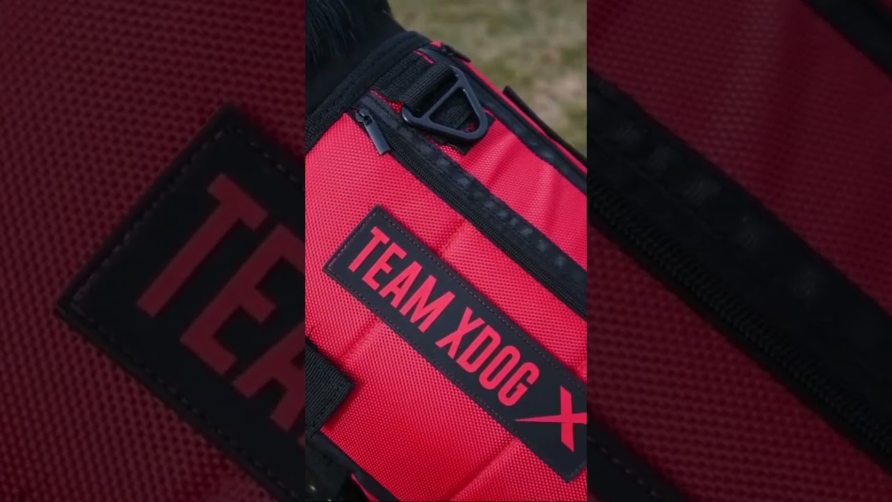 THE XDOG VEST is the best weight and fitness vest for dogs! 