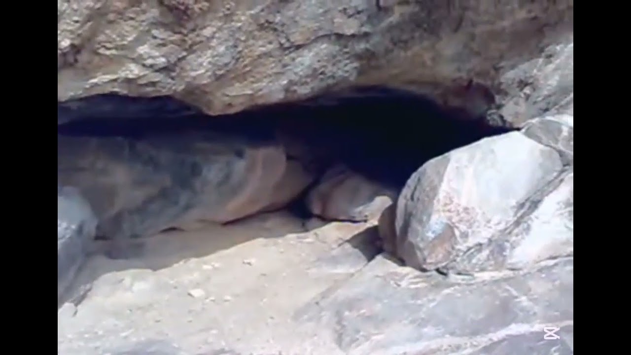 كهف النمر العربي قرية  الجابري (الحُرَّثْ) تصوير وتعليق : أبوعبدالعزيز / السعودية / جازان صيف ٢٩ 