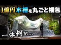 【1億円水槽】5mの巨大水槽を丸ごと梱包!?規格外の植物メンテナンスが凄い!
