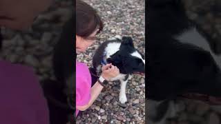 Download Lagu Meet Frankie! MP3