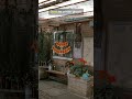 'Don’t Let Printer Problems Haunt You This Halloween 🎃 #shorts #viral #halloween