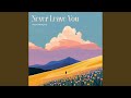 Never Leave You