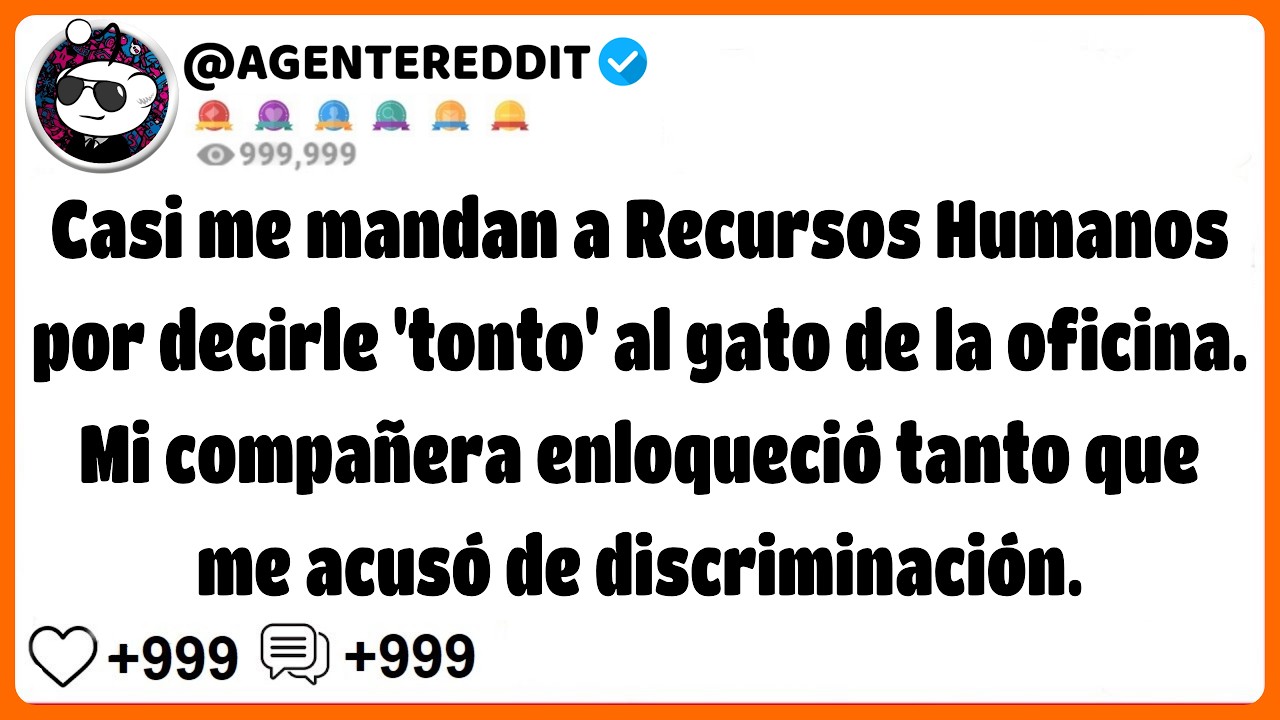 [HISTORIA COMPLETA] Dije que el gato de la oficina era torpe y mi compañera enloqueció...