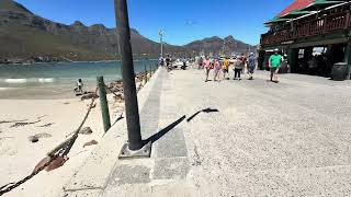 Hout Bay Harbour | Cape Town, South Africa 🇿🇦