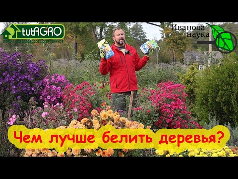 Не торопитесь с побелкой! КОГДА, КАК и ЧЕМ ЛУЧШЕ БЕЛИТЬ ДЕРЕВЬЯ. Мел или известь - что лучше?