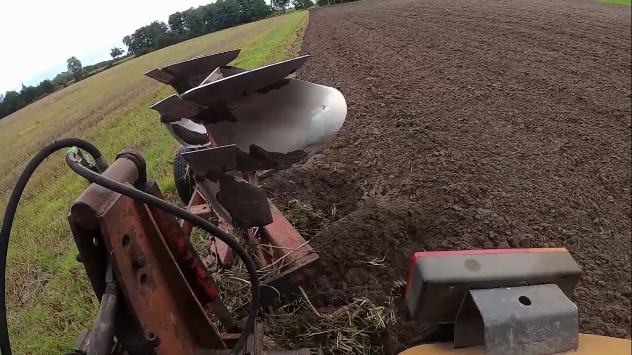 Czas Ork 2k21 || Lisie szkody || Naprawa C-360 || Kultywatorowanie ścierniska || Sprzątanie łęcin