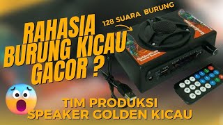INGIN SUARA BURUNG KICAU GACOR?? COBALAH PAKAI SPEAKER GOLDEN KICAU INI!!