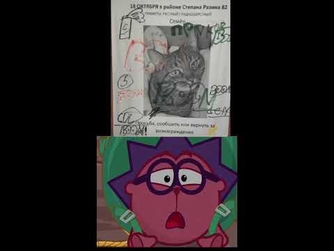#смешарики #ежик это уже слишком... - YouTube