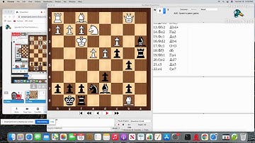 Chess Openings Wizard Five A Day Challenge - Episode 9