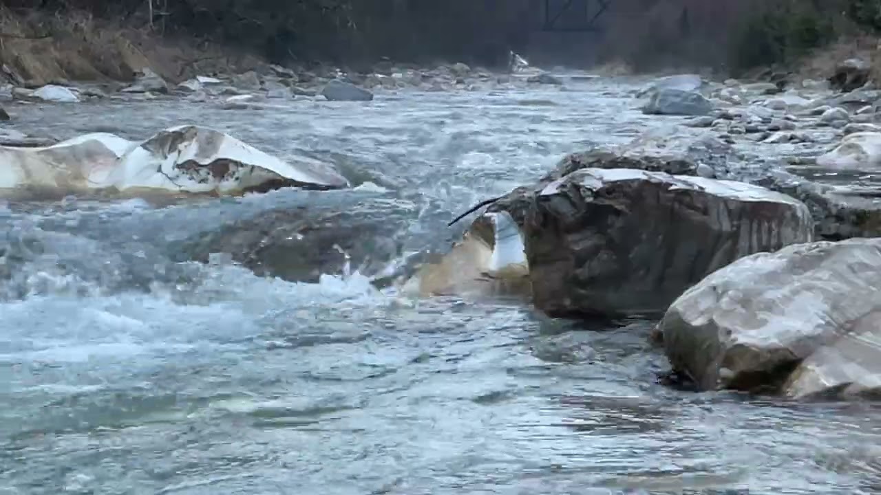 ✅ Relaxing Forest Creek Sounds | Small Waterfalls & Birds Chirping (44 MIN) mi