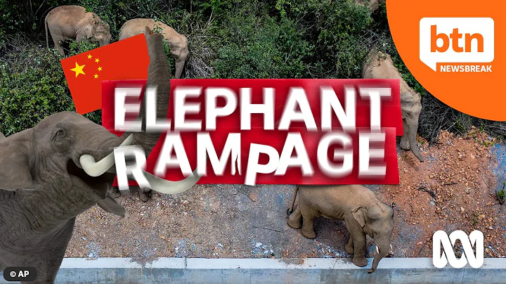 Elephant rampage in China - damage, destruction and a herd on the loose. - DayDayNews