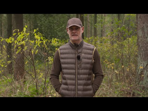 Deerhunter Weste Deer Padded