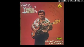 VAMOS A BEBER- Adolfo Echeverria y su Orquesta (1985) .. ALBUM VAMOS A BEBER