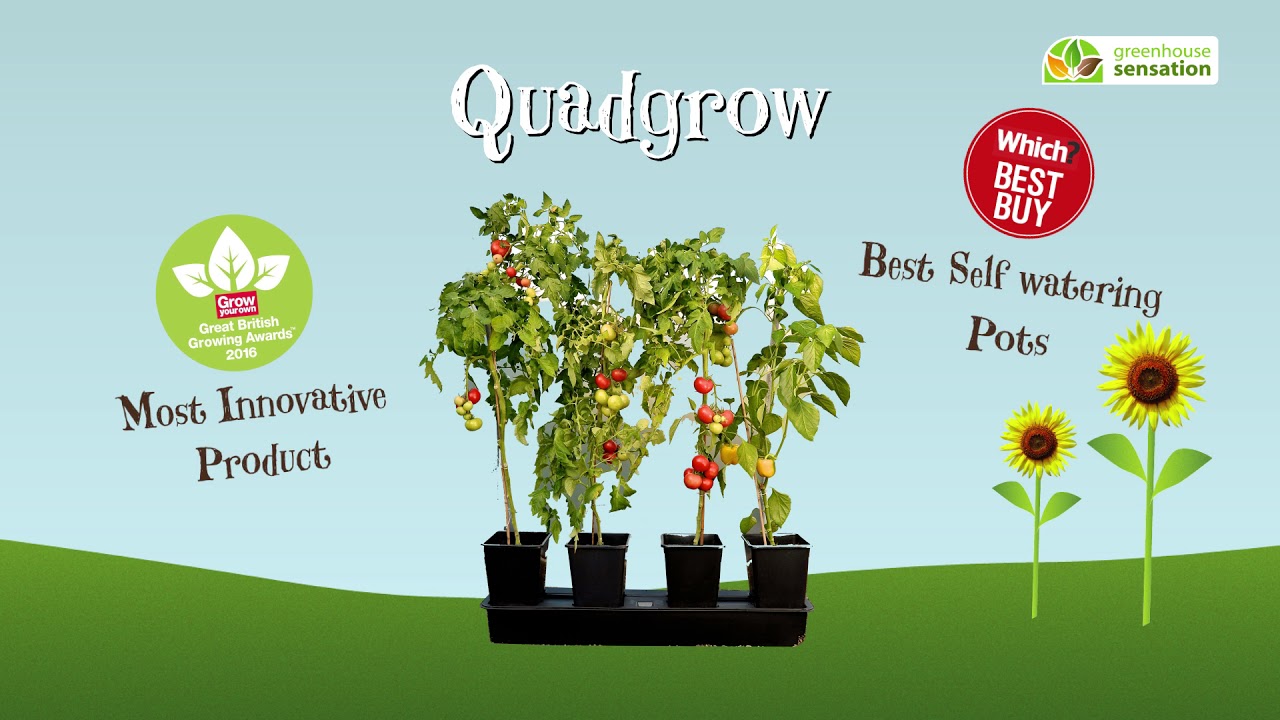The Quadgrow Story