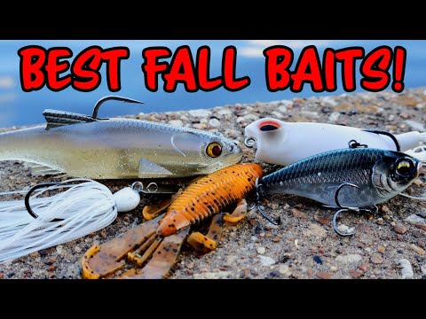 braided line for fishing Cortland Master Braid - 40lb - Bronze Color:Big Limit Type_Baitrunner Reels 2 pack) Storm WildEye depending on how much