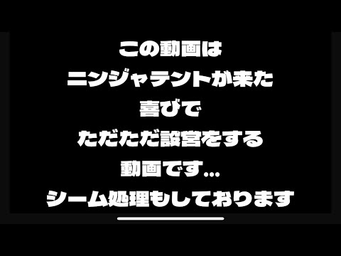 NINJA TENT ニンジャテント　嬉しさのあまり設営、そしてシーム処理