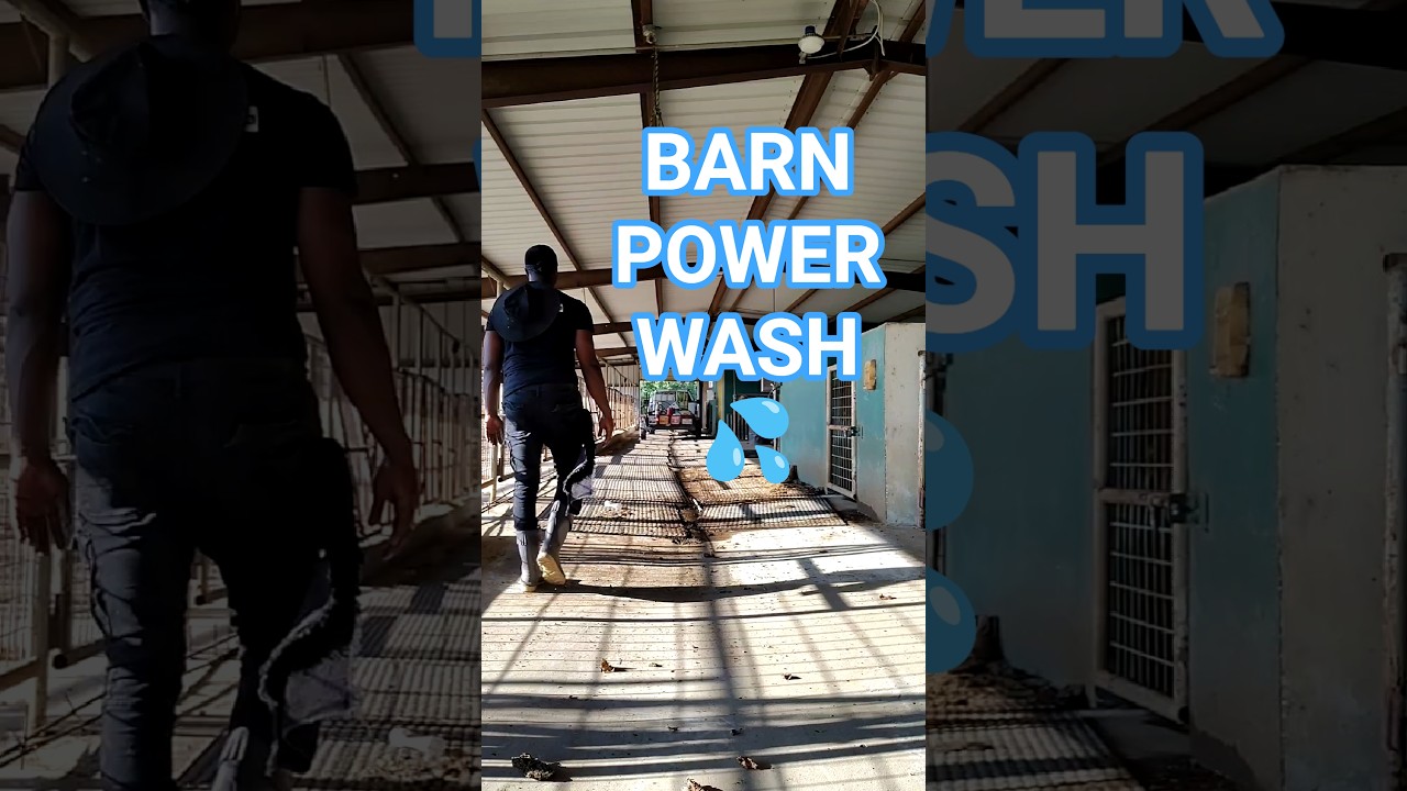BARN POWER WASH‼️ 