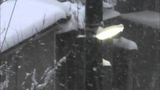 吹雪の晩