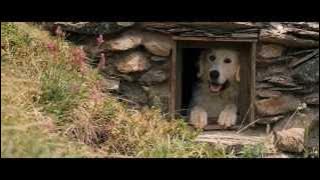 Belle and Sébastien / Belle et Sébastien (2013) - Trailer English Subs