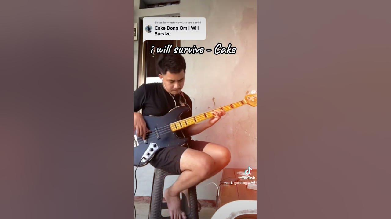 Cake - I will survive bass cover