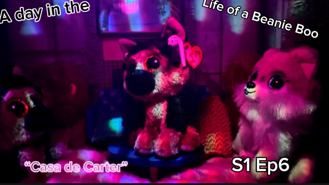 A day in the Life of a Beanie Boo // S1 Ep6 // “Case de Carter”