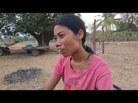 #ฟังตากปากอี่สีทุกวันนี้ผัวหาเงินไห้ใช้ตั้งแต่แยกครัวออกจากยายแปบ่อได้ผิดกันจักเทื่อ