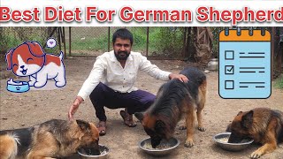 Kya Khilaye German Shepherd ko | German shepherd dog diet | best dog food | Gsd dog Diet