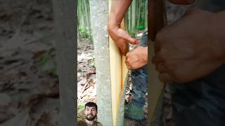 Removing Tree Bark Using Just Hands || Satisfying Sound Effect #youtubeshorts #woodworking #shorts