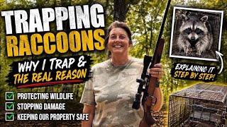 Details Explaining the reason WHY we trap raccoons! Update