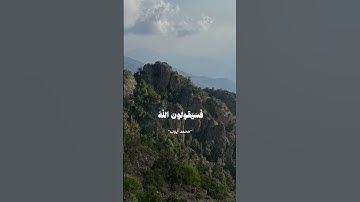 قل من يرزقكم من السماء والأرض/ القارئ: محمد أيوب#سورة_يونس