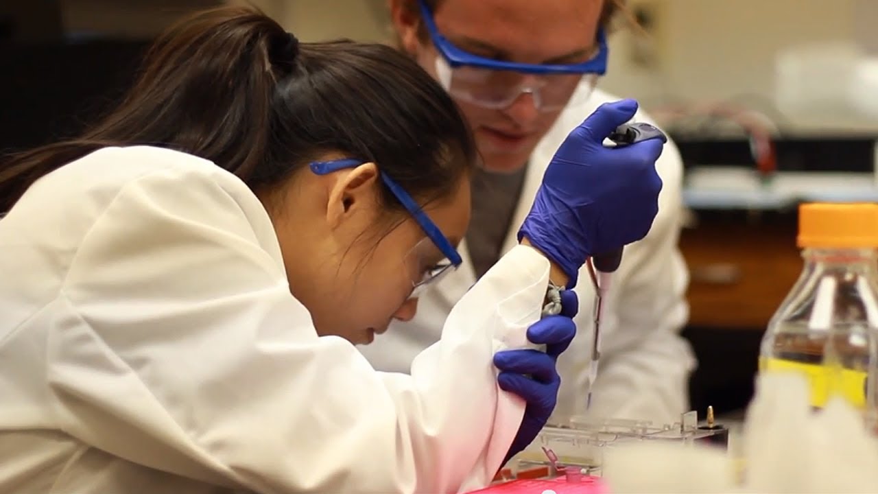 $100,000 Grant for Genomics Undergraduate Research -- College of Charleston