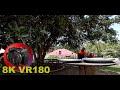 8K VR180 PARROTS Rainbow Lorikeets at Paradise Country Wildlife/Zoo in 3D (Travel/Lego/ASMR/Music)