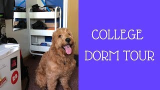 COLLEGE DORM TOUR || W/ A SERVICE DOG