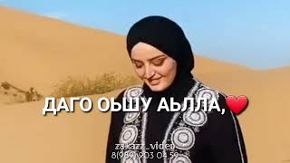 Даго оьшу аьлла, са ойланехь висна ваьлла ❤ #чеченскаяпесня