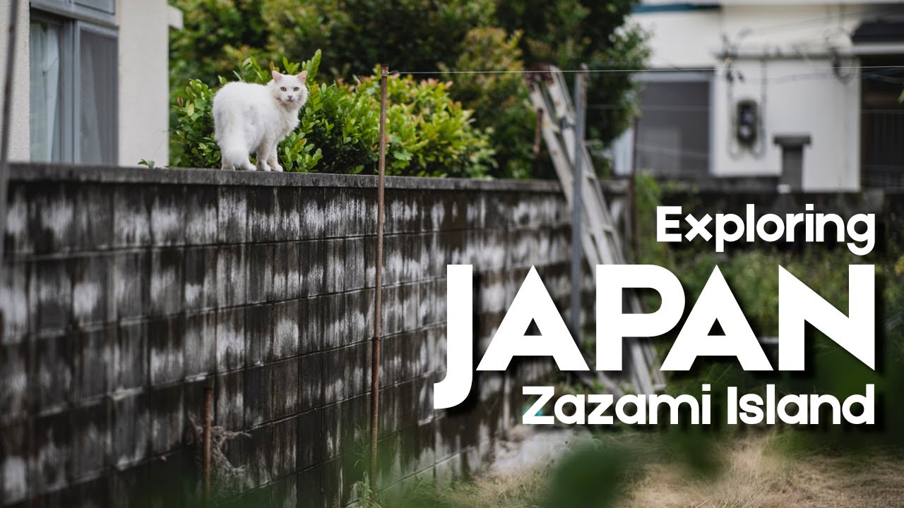 A Photographer's Notes] Exploring Okinawa's Zamami Island | Japan
