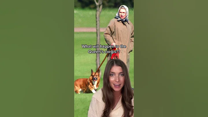 What will happen to the Queen's corgis?! #shorts