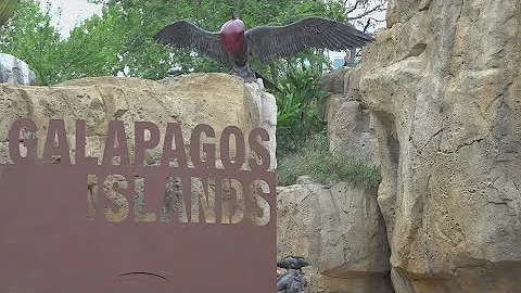 New Galápagos Islands exhibit at Houston Zoo opens Friday