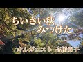 🍁ちいさい秋みつけた🍁~Tiisaiakimituketa~歌詞入り