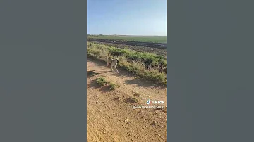 وصل رئيس الوزراء الإسرائيلي بنيامين نتنياهو 