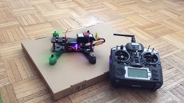 Testing 250mm ZmR LOS w/Turnigy 9x built