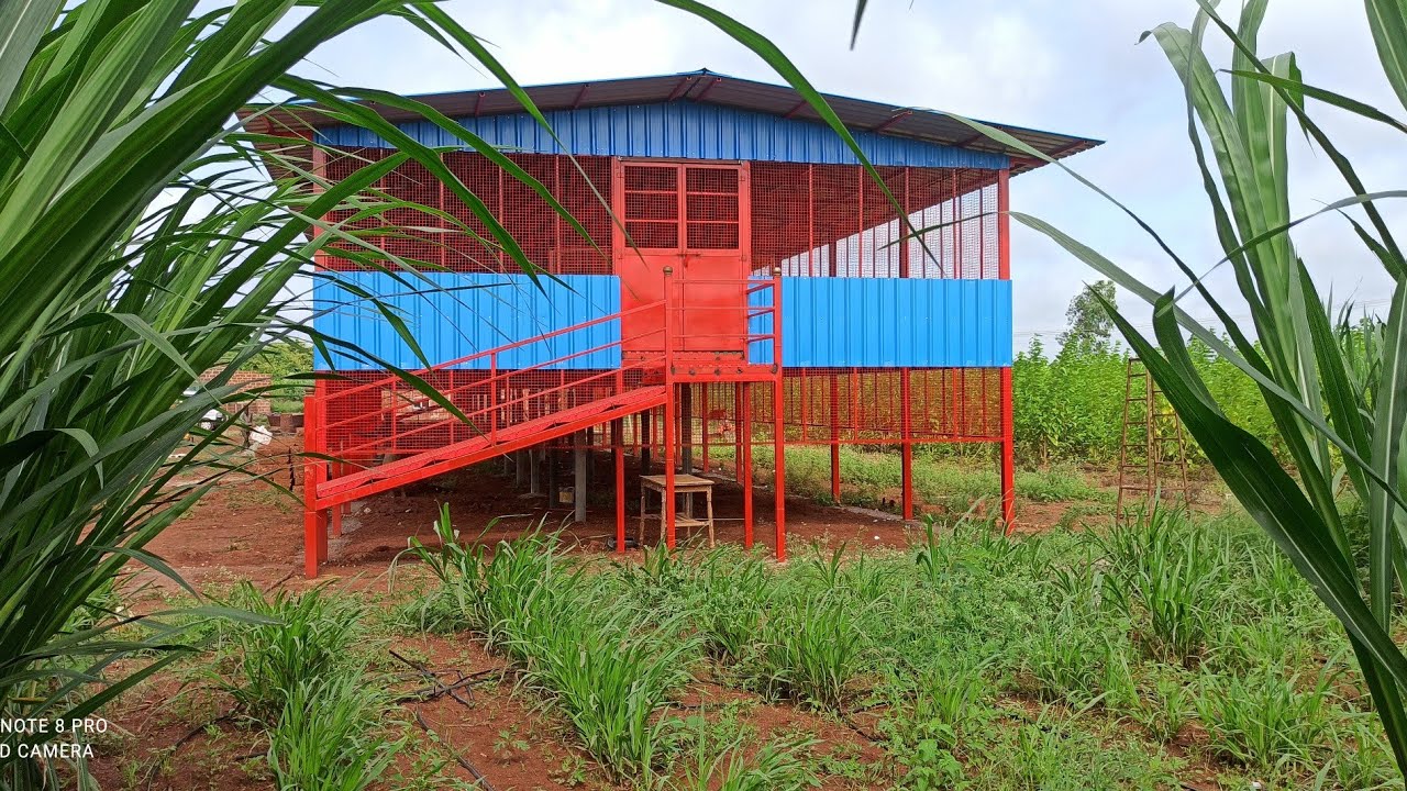 How to make a high-tech goat farm #viralvideo  26 by 120 feet 6363566188, 9141364460 