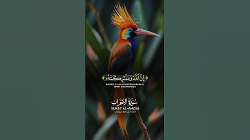 آيات من سورة الأحزاب