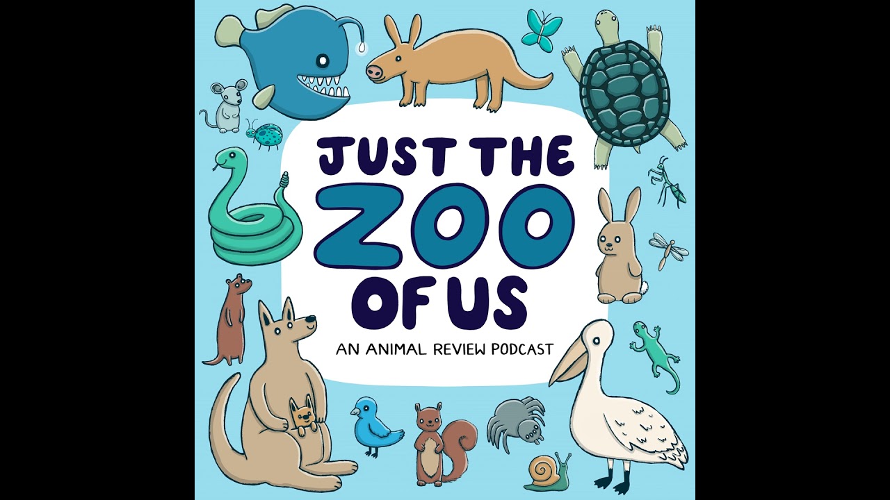 320: Vinny Thomas's Top 3 Urban Wildlife Species!