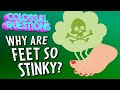 Understanding Foot Odor
