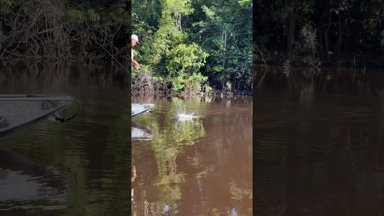 Pescaria de tucunaré nos lagos do Rio Jauaperi em Roraima