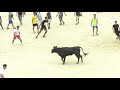 Vaquillas Feria Albacete 8 de septiembre 2018